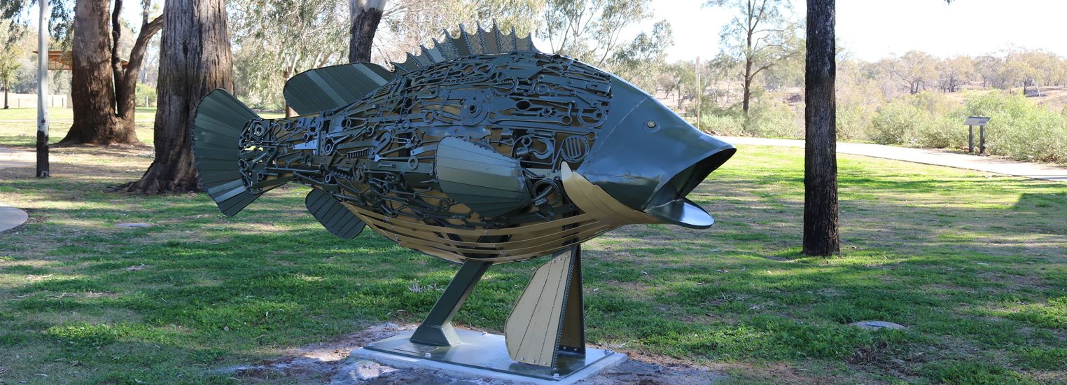 Murray cod sculpture