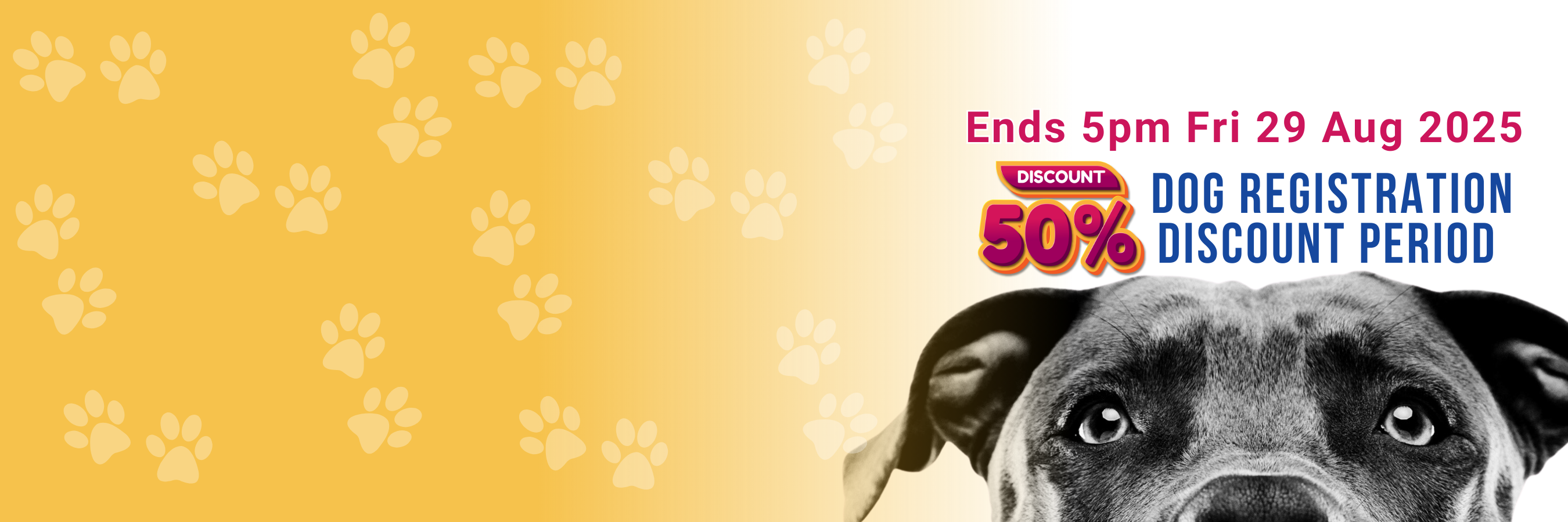 250825_DOG-REGISTRATION-discount-period-CAROUSEL.png
