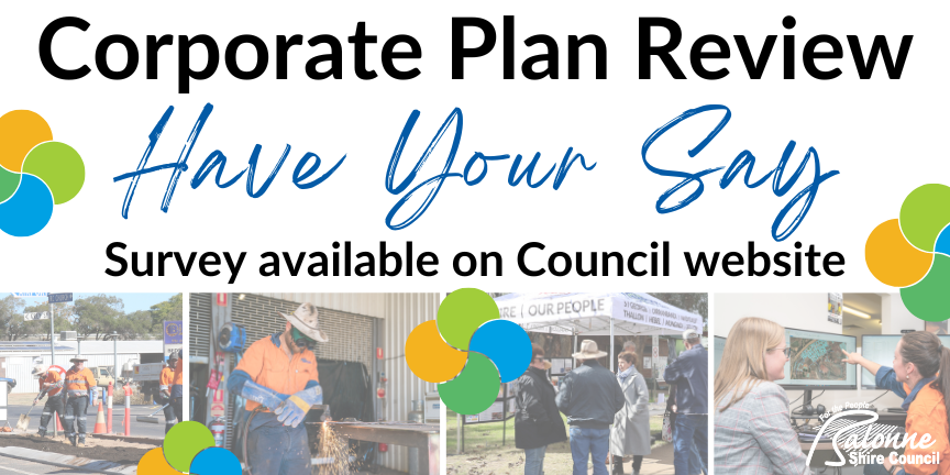 250325_Corporate-Plan-Review-Have-Your-Say-ELLIE.png